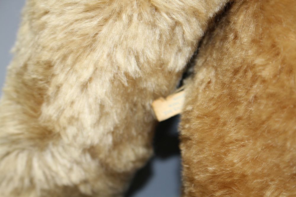 A 1950s Chad Valley bear, 26in., arm label, velvet pads